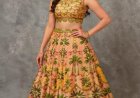 Liz Paul - Artistic Lehengas with Mirror-Work Shahpur Jat Delhi